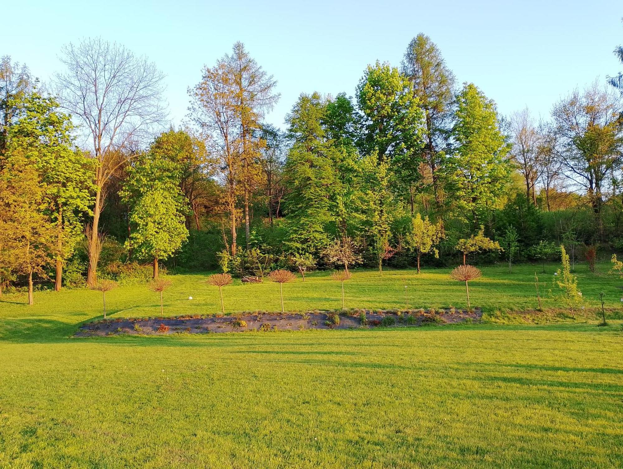 Apartament Z Ogrodem Přemyšl Exteriér fotografie